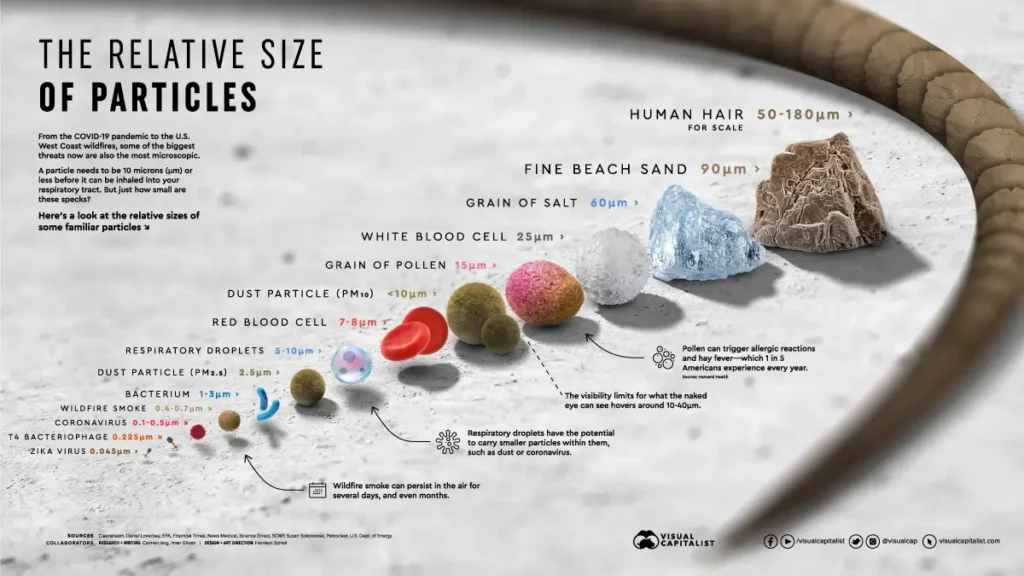 Így lehet baktériummentes a medence és jacuzzi vize otthonodban innovatív vízszűrő berendezésünkkel – mutatjuk! 2 RelativeSizeofParticles Infographic 1200px v8